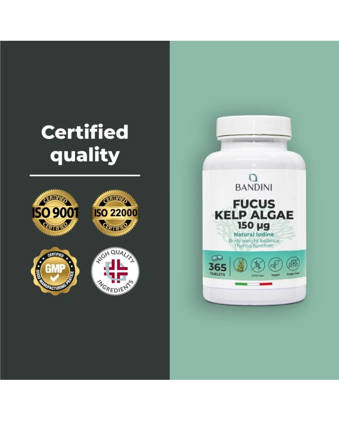 Fucus Kelp Algae 150mcg tablets - Natural source of iodine
