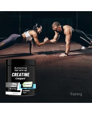 Creapure® Creatine Monohydrate - mercury free Powder