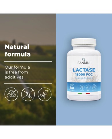 Lactase 15.000 FCC – 80 tablets