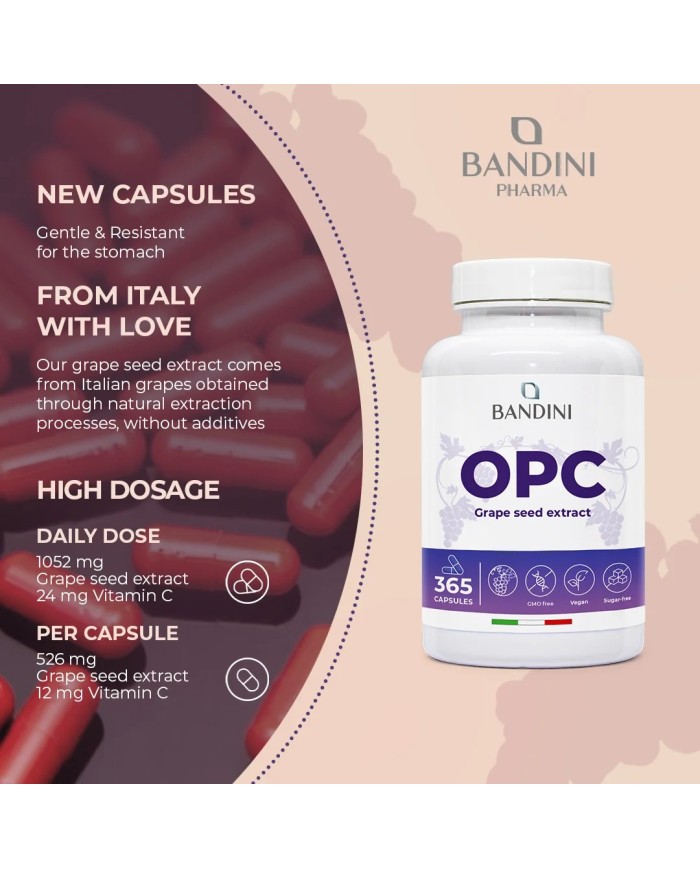 OPC 365 Grape Seed Extract - Anti inflammatory Food Supplement