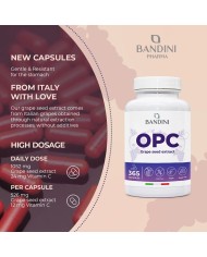 OPC 365 Grape Seed Extract - Anti inflammatory Food Supplement