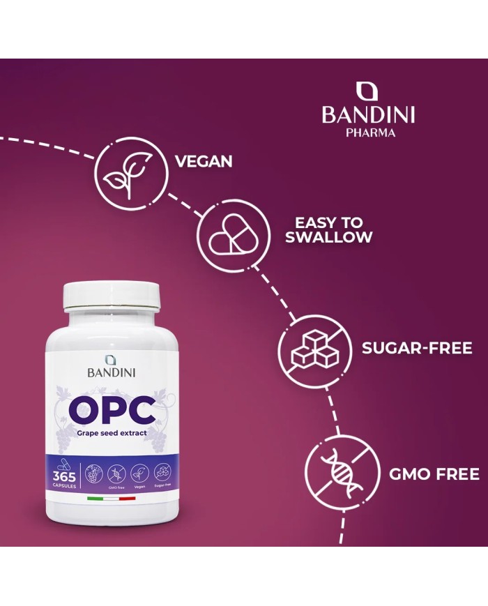 OPC 365 Grape Seed Extract - Anti inflammatory Food Supplement