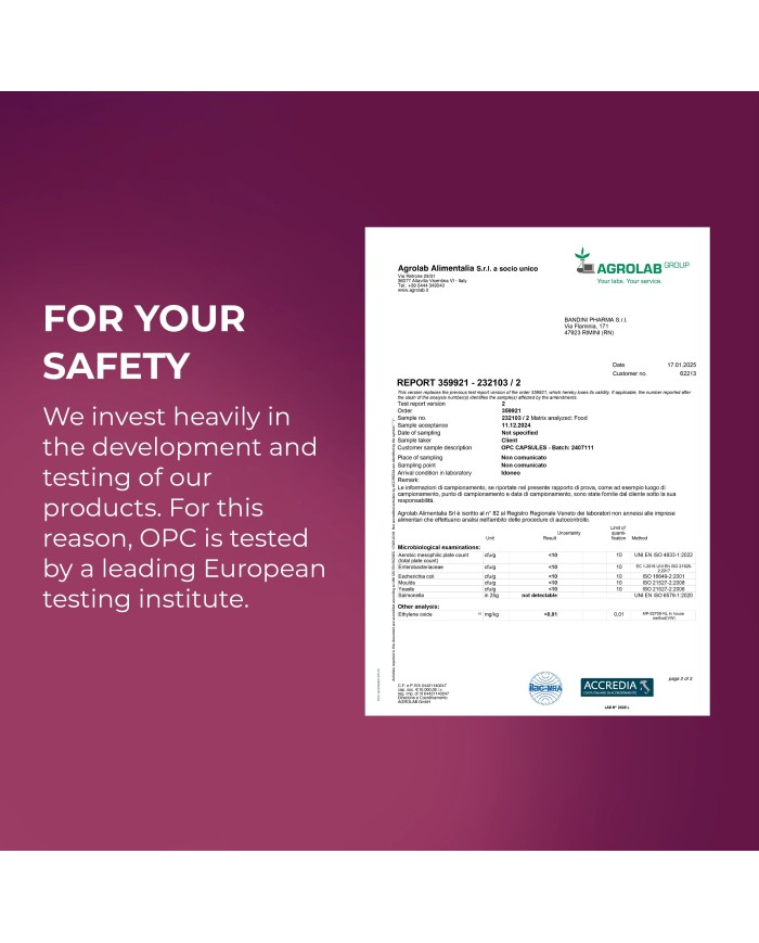 OPC 365 Grape Seed Extract - Anti inflammatory Food Supplement