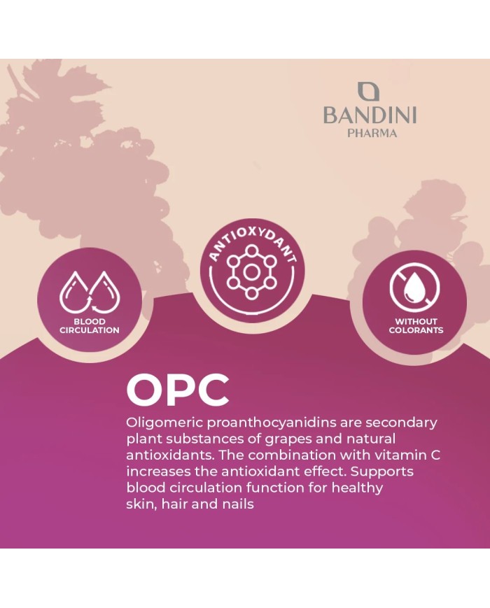OPC 365 Grape Seed Extract - Anti inflammatory Food Supplement