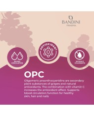 OPC 365 Grape Seed Extract - Anti inflammatory Food Supplement