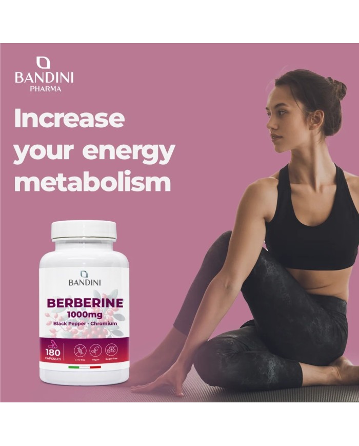 Berberine 180 capsules - liver function and digestion function