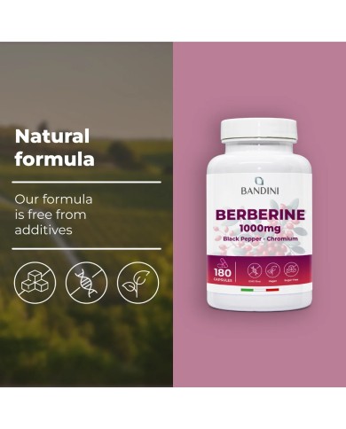 Berberine 180 capsules - liver function and digestion function