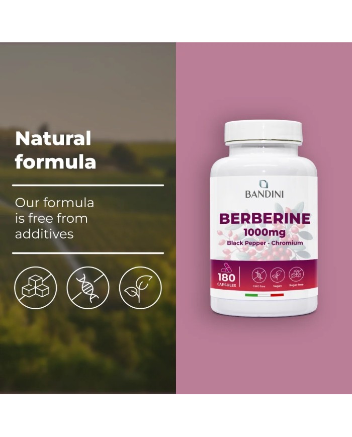 Berberine 180 capsules - liver function and digestion function