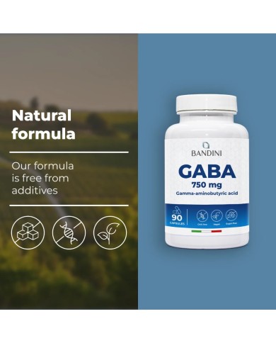 Gaba - 90 capsule di acido gamma-amminobutirrico