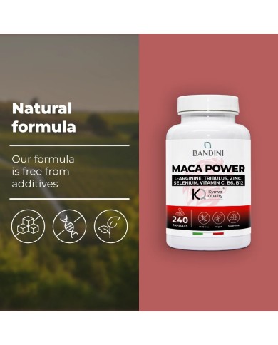 Maca Power 240 high-dose capsules with Arginine and Tribulus