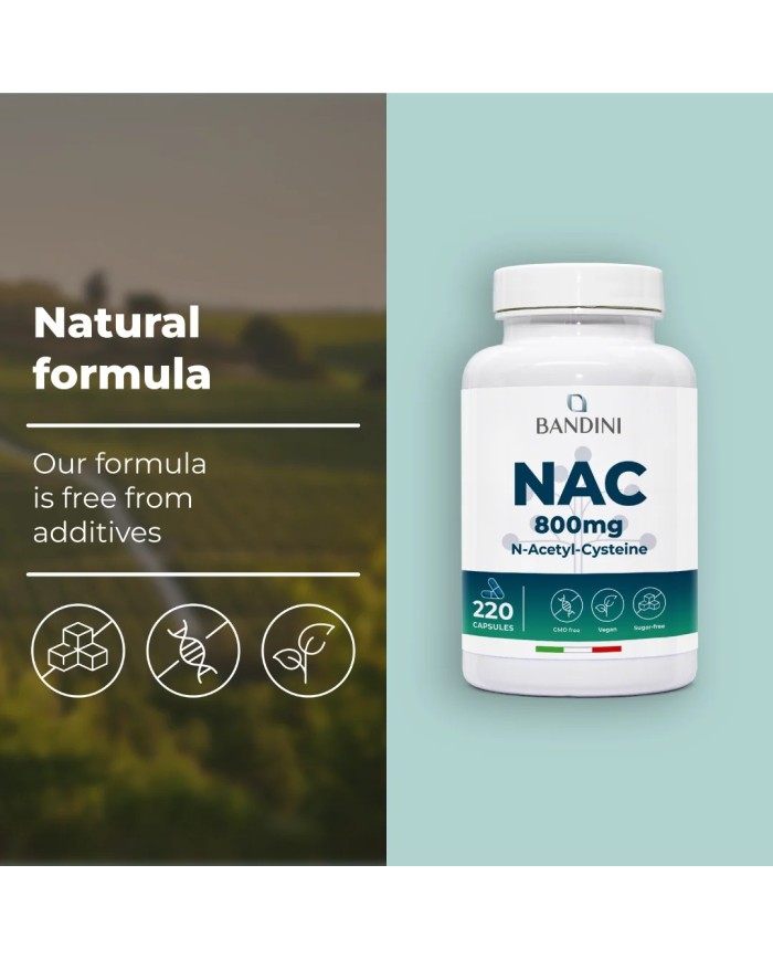 NAC N-Acetyl-Cysteine 800mg | 220 Capsules | Immune Defence