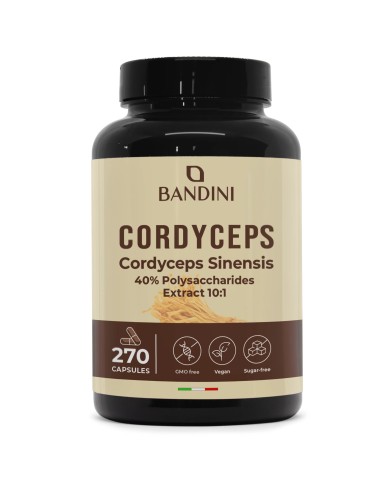 Cordyceps Sinensis 270 Capsules | Energy & Immune booster