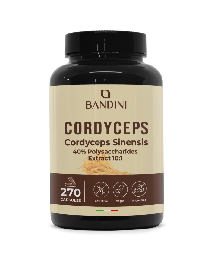 Cordyceps Sinensis 270 Capsules | Energy & Immune booster