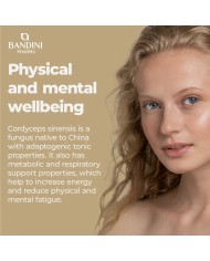 Cordyceps Sinensis 270 Capsules | Energy & Immune booster