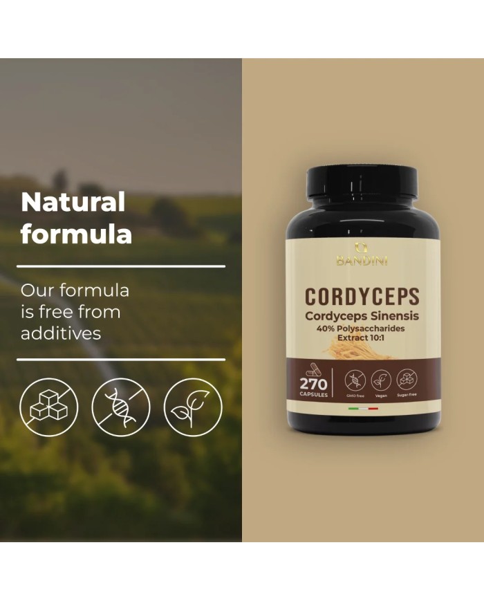 Cordyceps Sinensis 270 Capsules | Energy & Immune booster