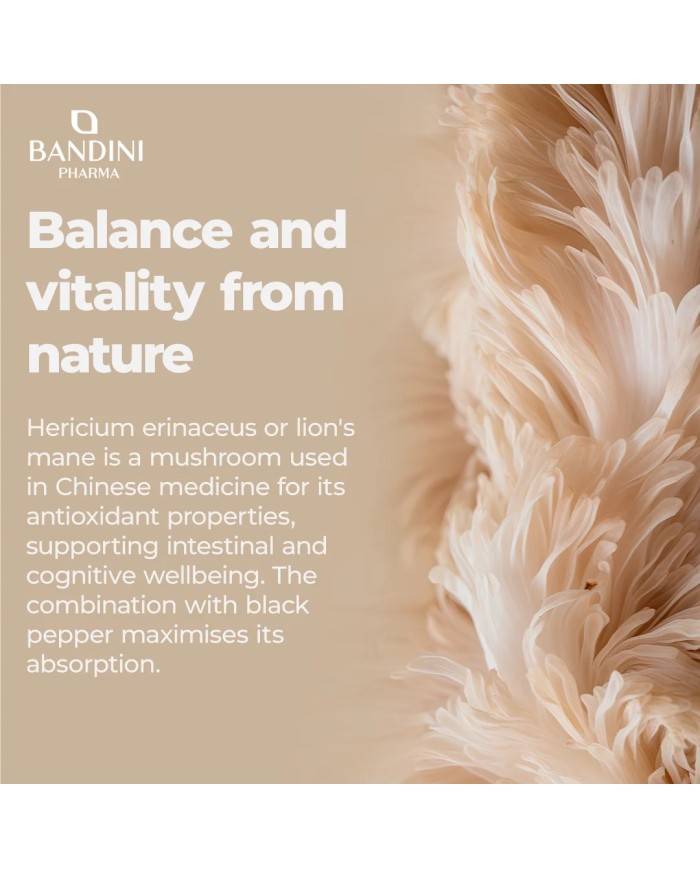 Lion's Mane 365 tablets - Intenstinal and cognitive health