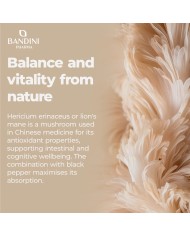 Lion's Mane 365 tablets - Intenstinal and cognitive health