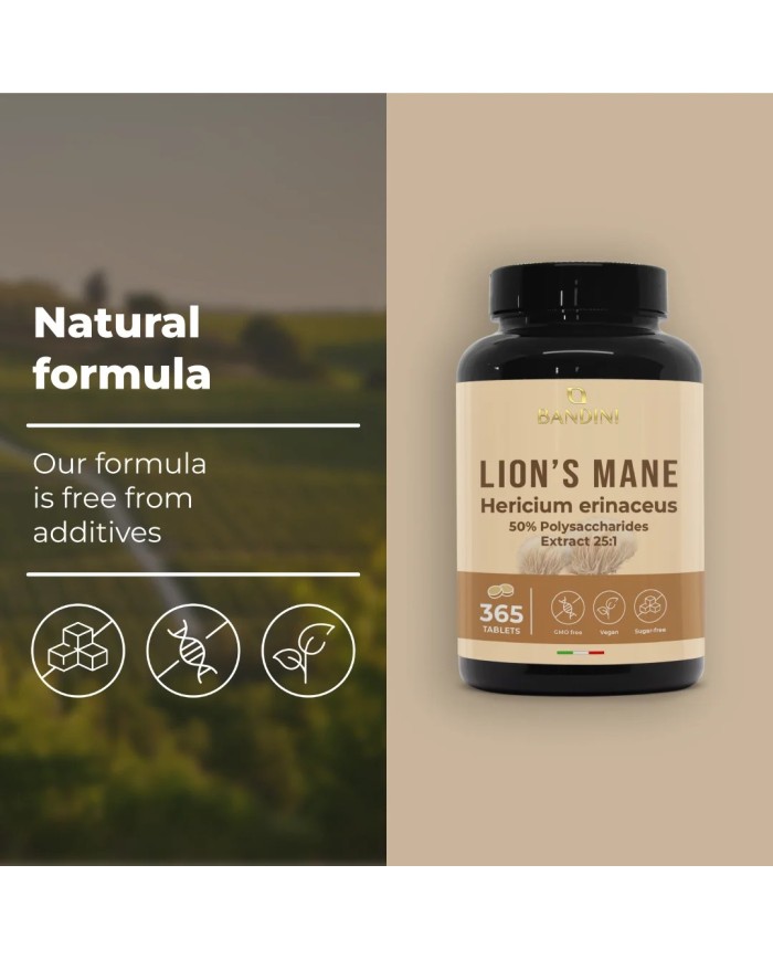 Lion's Mane 365 tablets - Intenstinal and cognitive health