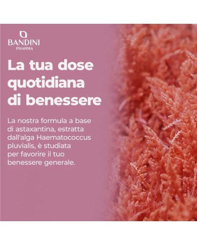 Astaxanthin 270 capsules with 18 mg - Antioxidant supplement