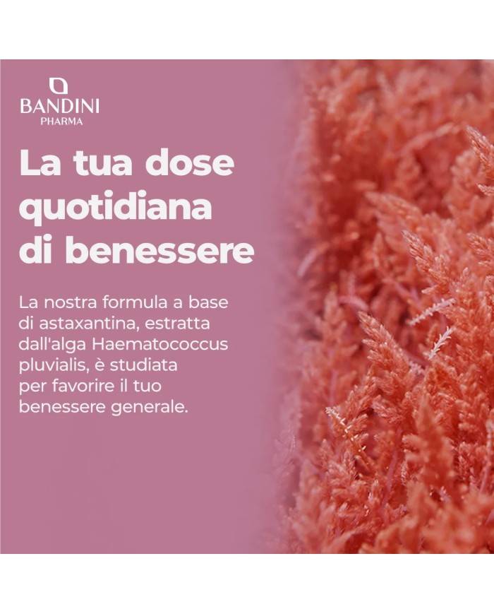Astaxanthin 270 capsules with 18 mg - Antioxidant supplement