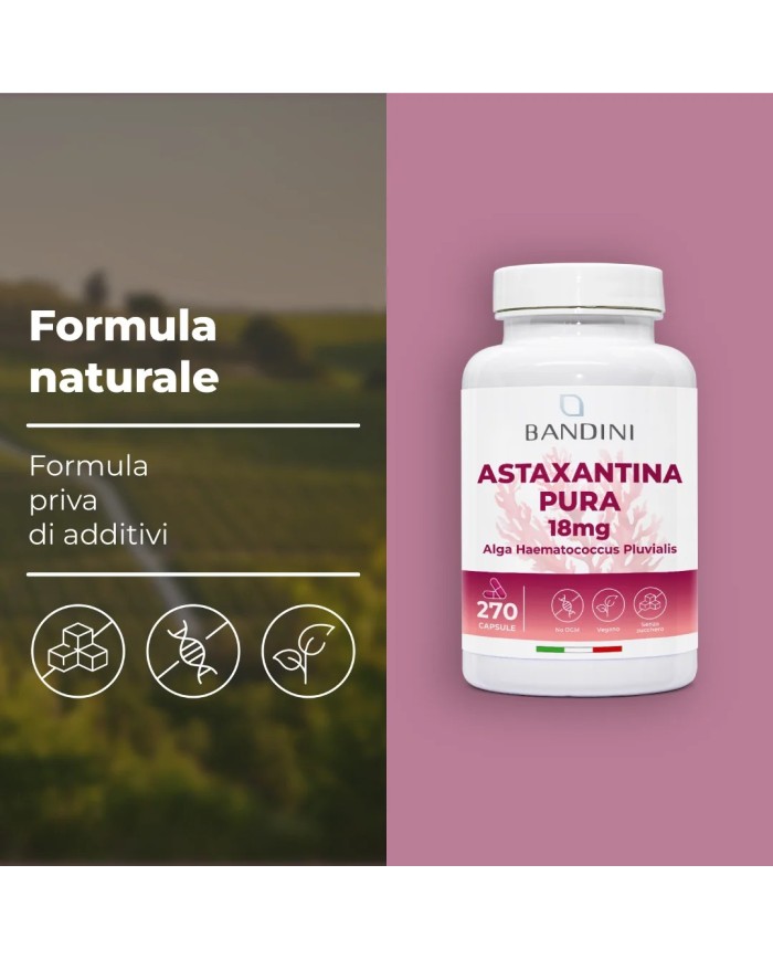 Astaxanthin 270 capsules with 18 mg - Antioxidant supplement
