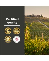 Potassium Iodide 365 tablets | Iodine high dosage for thyroid