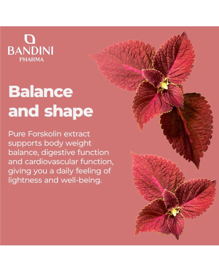 Forskolin ketogenic supplement | Body weight control