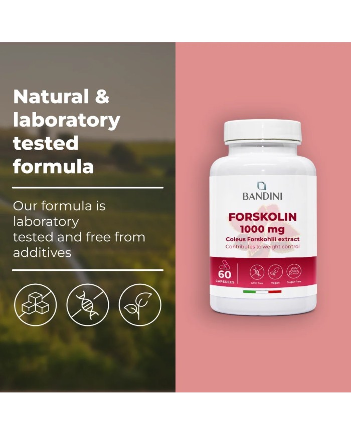 Forskolin ketogenic supplement | Body weight control
