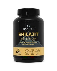 Shilajit in capsules with Vitamin B6 - Pure Himalayan