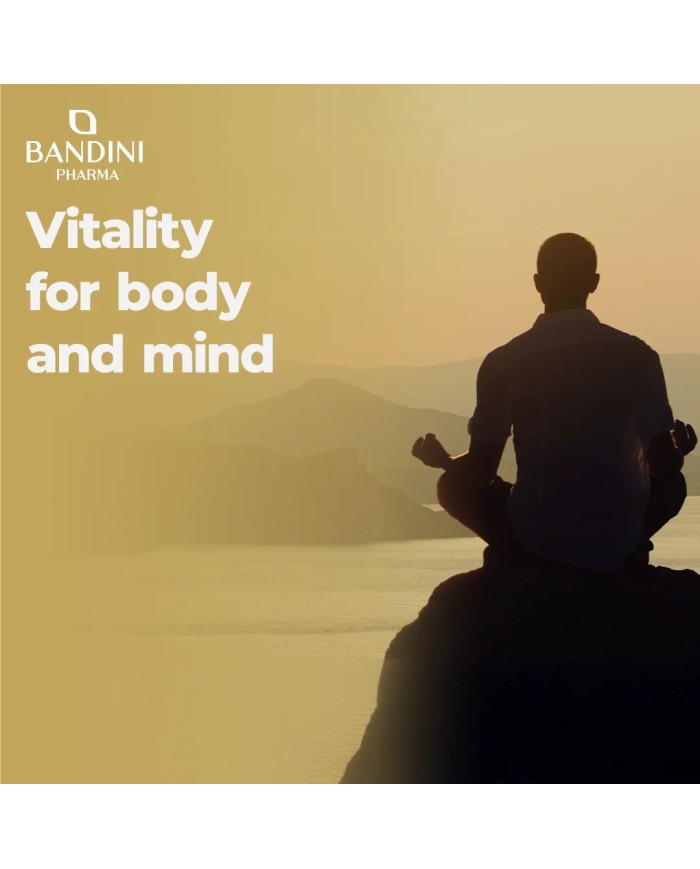 Shilajit in capsules with Vitamin B6 - Pure Himalayan