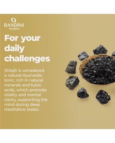 Shilajit in capsules with Vitamin B6 - Pure Himalayan