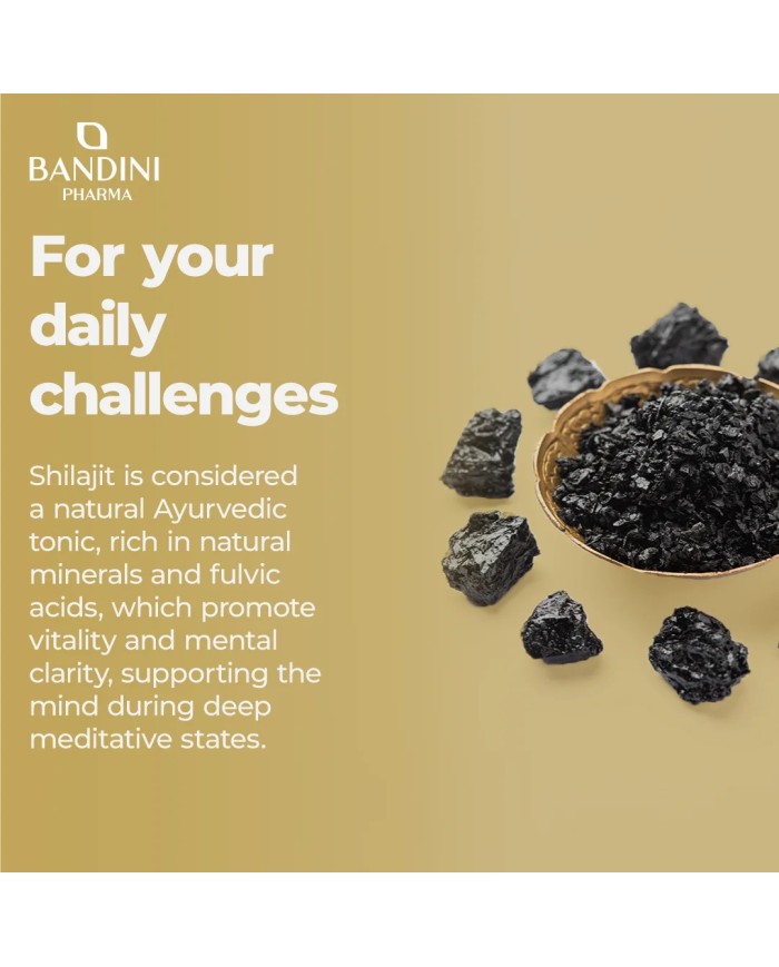 Shilajit in capsules with Vitamin B6 - Pure Himalayan