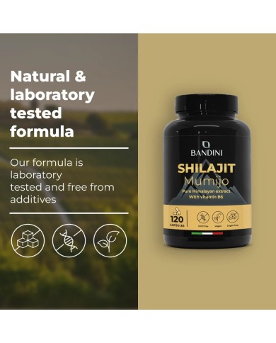 Shilajit in capsules with Vitamin B6 - Pure Himalayan