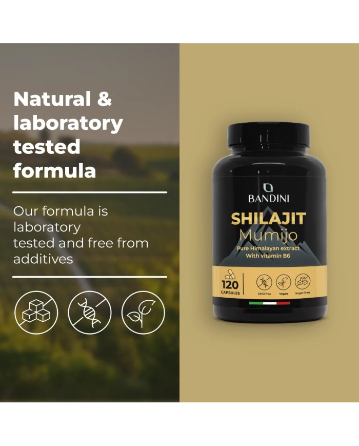 Shilajit in capsules with Vitamin B6 - Pure Himalayan