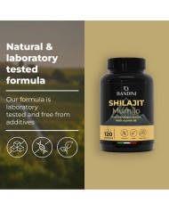 Shilajit in capsules with Vitamin B6 - Pure Himalayan