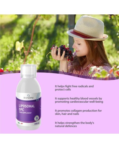 Liposomal OPC - Antioxydant grape seed extract