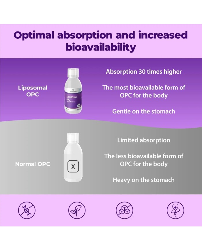 Liposomal OPC - Antioxydant grape seed extract