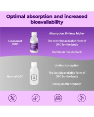 Liposomal OPC - Antioxydant grape seed extract