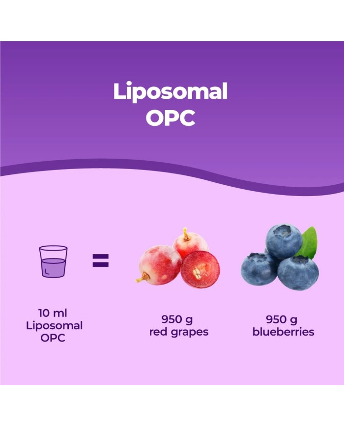 Liposomal OPC - Antioxydant grape seed extract