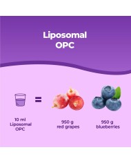 Liposomal OPC - Antioxydant grape seed extract