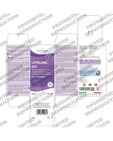 Liposomal OPC - Antioxydant grape seed extract