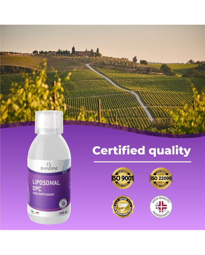 Liposomal OPC - Antioxydant grape seed extract
