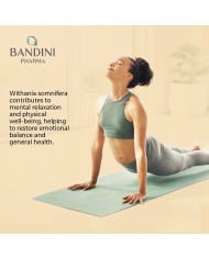 Ashwagandha tablets - Indian ginseng against fatigue