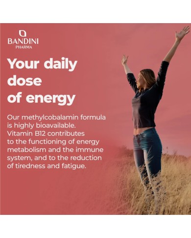 Vitamin B12 methylcobalamin - 450 tablets