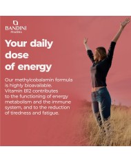 Vitamin B12 methylcobalamin - 450 tablets