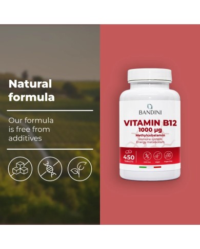 Vitamin B12 methylcobalamin - 450 tablets