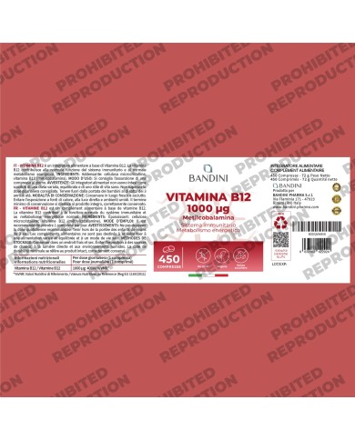 Vitamin B12 methylcobalamin - 450 tablets