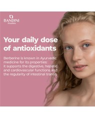 Berberine 60 capsules for digestive and liver health