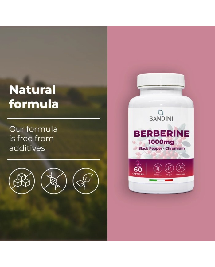 Berberine 60 capsules for digestive and liver health