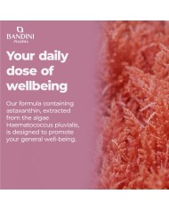 Astaxanthin 8 mg 240 tablets - Natural antioxidant